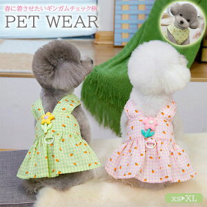 ypet574zċGI2_ڂ͔zI9/30܂2025tăybg s[X v[cXJ[gWp[XJ[g DJ Lybg ^pi |Cg5{ tJ[ybg  fC