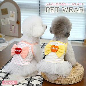 ypet580z2025tăybg s[X `[XJ[g v[c { DJ Lybg ^pi |Cg5{ tJ[ybg  fC[