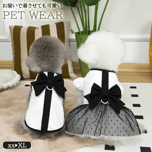 ypet581z2025tăybg s[X TVc `[XJ[g ybghX DJ Lybg ^pi |Cg5{ tJ[ybg  fC[