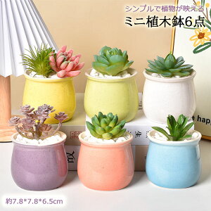 yvase503zAؔ6_Zbg ڌ^ ~j Vv v^[ A |bg ~͔A Aؔ CeAu   ̓