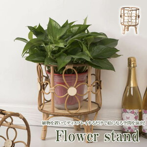 ygrocerie793zAؔJo[ oXPbg | [ t[|bgJo[ ϗtA   i` A i`CeA |Cg5{