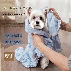 ypet665zybgp^I L  ybg^IlrS̃Jo[^Cv oX^I  z _炩 ӂӂ|Cg5{