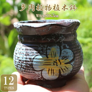 yvase531z2_Zbg ~j|bg Aؔ t[ ̓I v^[ ~͔A ԕ Aؔ ԕr CeAu