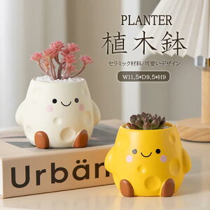 yvase548zAؔ v^[ |bg  ~͔A T{e ԕr CeAu |pi|Cg5{