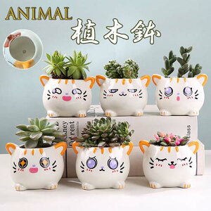 yvase528zAؔ v^[ |bg L ~͔A Aj} T{e ԕr CeAu |pi |Cg5{