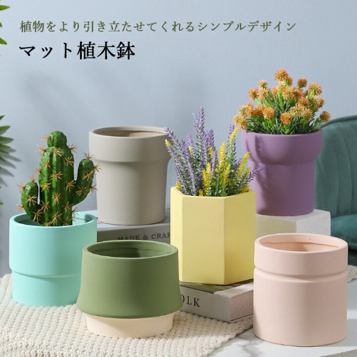 楽天市場】【vase198】【3点以上購入時、1点当たり100円引き 