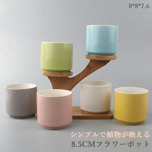 yvase223zAؔ 3_Zbg ~j Vv v^[ A |bg ~͔A Aؔ ԕr CeAu   ̓