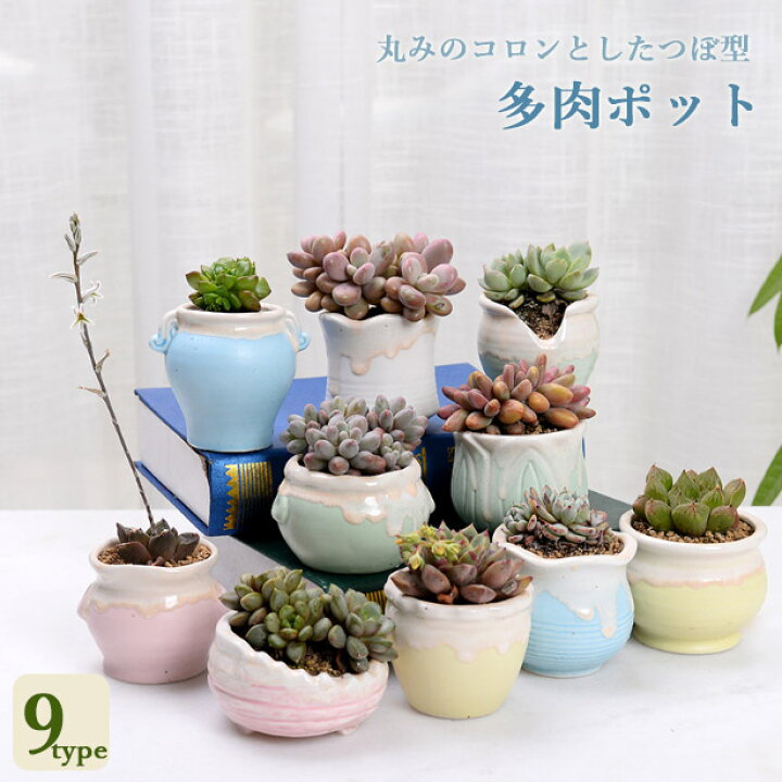 楽天市場】【vase342】送料無料 植木鉢 つぼ型 ランダム 3点セット  
