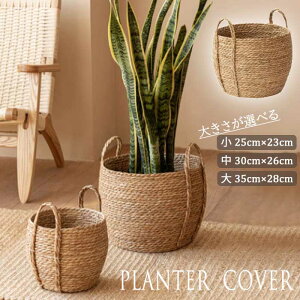 ygroceries482zAؔJo[ oXPbg [ h[oXPbg t   i` A i`CeA |Cg10{