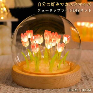 ylight225zDIY e[uv `[bvCg ԐڏƖ }`bN͋C zCgf[ ̓ v[g |Cg10{