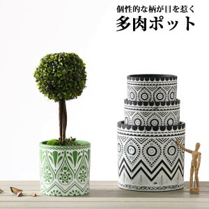 yvase351zAؔ |bg v^[ A |bg 􉽊w͗l bJ ꌊ CeA CeAu ̓