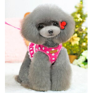【pet290】犬 犬用 ハーネス 犬具 胴輪 リードセット 散歩 水玉 ドット おしゃれ かわいい 犬 イヌ ポイント5倍