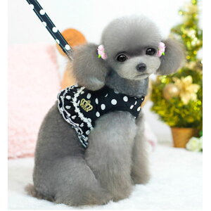 ypet290z p n[lX   [hZbg U  hbg  킢  Ck |Cg5{