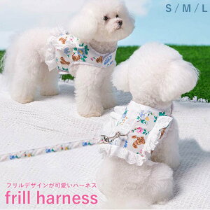 ypet331ztăybg ybg tn[lX DO ʋC Lybg ^ EFA ԕ |Cg5{ n[lX