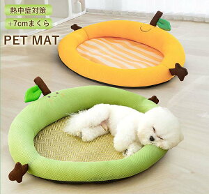 ypet355zybg  }bg xbh  ^ ^}bg K NbV MǑ΍ ⊴ bV  |Cg5{