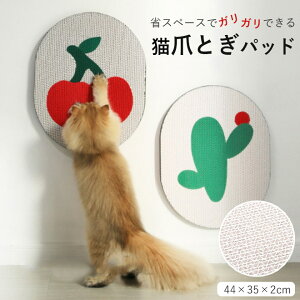 ypet362zL ܂Ƃpbh ܂ƂV[g  i{[ ǌŒ EH[XNb`[ XNb`{[h  |Cg5{