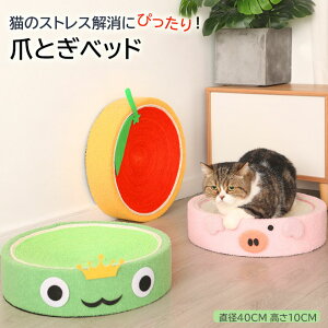 ypet364zL ܂Ƃxbh ܂Ƃpbh ܂ƂV[g  L x ϋv L\t@  |Cg5{