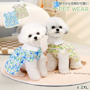 ypet370zybg TTn ԕ  s[X XJ[g Lybg ^pi DO fC[ |Cg5{