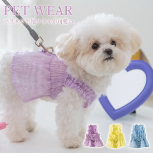 ypet383zybg TTn `FbN s[X XJ[g Lybg ^pi DO fC[ |Cg5{