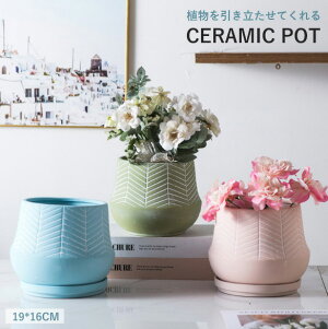 yvase395z󂯎Mt Aؔ |bg v^[ ItzCg A |bg |pi ꌊ CeA CeAu ̓