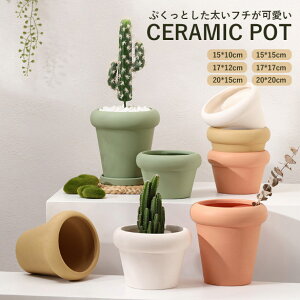 yvase397z󂯎Mt Aؔ |bg v^[ ۂӂ ӂ A |bg |pi CeA CeAu Vv T{e ~` ꔫ
