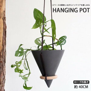 yvase407znMO|bg nMOv^[ t[|bg vgnK[ ݂艺 ACeA CeA |Cg5{