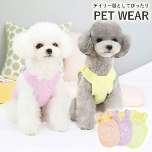 ypet407zV ybg ybg TVc Lybg ^ EFA btn DO pXeJ[ fC[ zZ[ |Cg5{