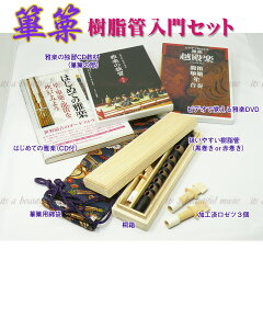 yitszyyEÁiЂ肫j lC̎ǁIDXZbg