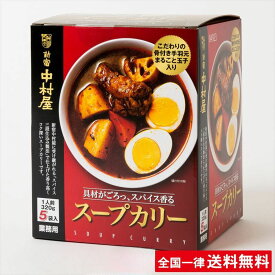 【レビュー300円割引特典】新宿中村屋 スープカリー 320g × 5袋 スープカレー 中村屋 カレー 業務用【送料無料】