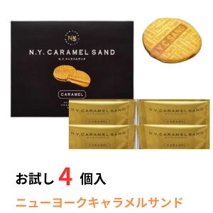 yr[200~Tz NY LTh  4 p J v`ґ v[g Mtg v`MtgXC[c َq j[[NLTh N.Y.C SAND   