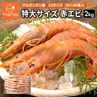 生食可能 刺身用 アルゼンチン産 特大 赤エビ 2kg (20～40尾) 赤海老 エビ 海老 L1サイズ L1 特大サイズ …