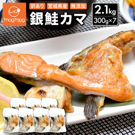 【送料無料】訳あり 宮城県産 銀鮭カマ 2.1kg (300g×7パック) 無添加 国産 冷凍 甘口 塩鮭 銀鮭 銀ざけ 鮭 サケ カマ かま 小分け 切り身 切身 切り落とし 切落し サーモン