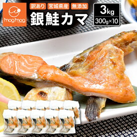 【送料無料】訳あり 宮城県産 銀鮭カマ 3kg (300g×10パック) 無添加 国産 冷凍 甘口 塩鮭 銀鮭 銀ざけ 鮭 サケ カマ かま 小分け 切り身 切身 切り落とし 切落し サーモン