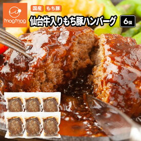 送料無料 仙台牛入りもち豚ハンバーグ 170g×6個セット デミグラスソース入り 国産 三元豚 黒毛和牛 和牛 和豚もちぶた 惣菜 牛肉 豚肉