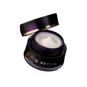 yzZN[ 40g [ێ 邨 n  󏭐z v`i  TN AvX Zt[`[]