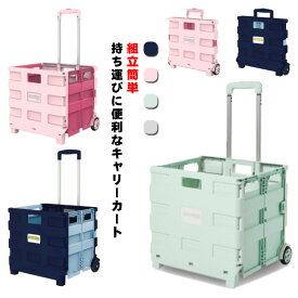 キャンプ用 耐荷重40kg カート ショッピングカート キャリーカート コンテナキャリー 台車 折りたたみキャリーカート 釣り 耐荷重40kg アウトドア 軽量 45L 静音 キャスター付 蓋付き 座れる ショッピング 家庭 飛び出し防止 簡単組立て 買い物 防災 震災 コンパクト