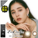 カラコン ワンデー 度あり エバーカラー ルクアージュ 新木優子 UV 1箱30枚入り 14.5mm BC8.7 1day 色素薄い系