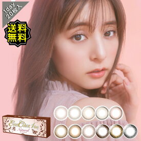 カラコン ワンデー 度あり エバーカラーevercolor ワンデーナチュラル 新木優子 1箱20枚入り 14.5mm BC8.7 (1day ナチュラル シャンパン) ブラウン/ブラック 高度数 ハイパワー