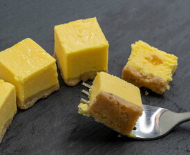 ニューヨークチーズケーキマンゴー 16個入りお取り寄せ スイーツ