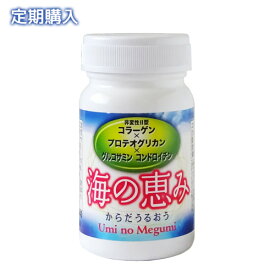 【定期購入】eggjoy 海の恵み 28.8g（320mg×90粒） プロテオグリカン 非変性2型コラーゲン グルコサミン コンドロイチン 魚軟骨から抽出 サプリメント 日本製