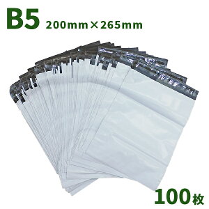 zrj[ 200mm×265mm B5 100 e[vt F    z 
