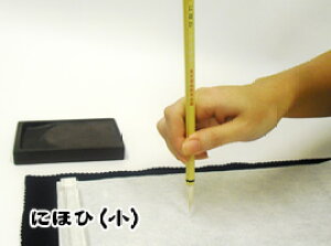 pi M  ɂقЏyz