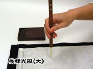 pi M  ܗpN/ y傤قӂzyz