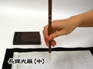 pi M  pN/ y傤قӂzyz