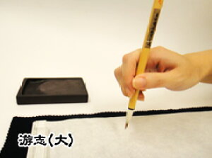 pi M  ܏ u(j䂤yz