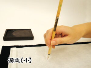 pi M  nKL ܏u(j䂤yz