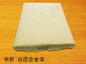 y܁zS/荗yz100yz
