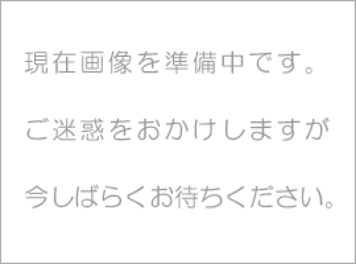 書道用品 すずり 四五平本石 東京書道教育会 硯 最大65%OFFクーポン 硯 『5年保証』 すずりです。 雑貨