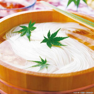 艄f˗K۔T i    Ε Mtg ăMtg ~Mtg  O Yn Y 蕨 v[g G22049