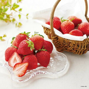 yo׊:121-1220zJAӂ ܂ 350giEOjy2025z